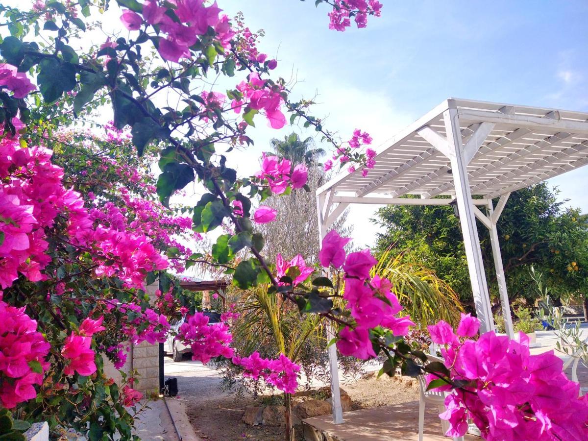Finca El Aulagar Málaga Dış mekan fotoğraf