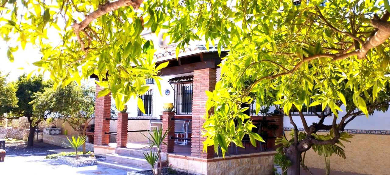 Finca El Aulagar Málaga Dış mekan fotoğraf