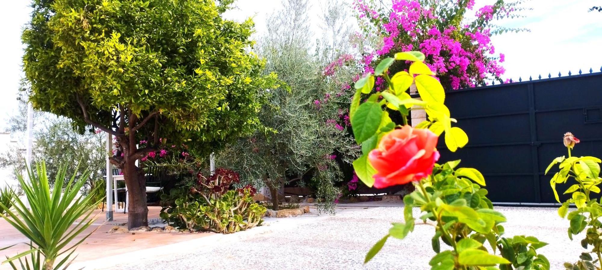 Finca El Aulagar Málaga Dış mekan fotoğraf